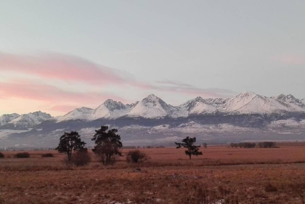 Tatra Mountains View Open-Space Apartment, N.92 ポプラト エクステリア 写真