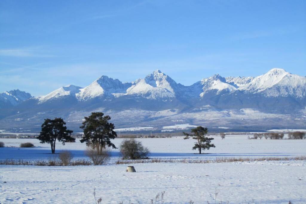 Tatra Mountains View Open-Space Apartment, N.92 ポプラト エクステリア 写真